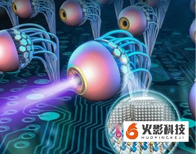 传感光学领域